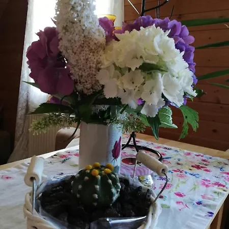Da Tizzi Apartament