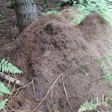 Apartment Da Tizzi *