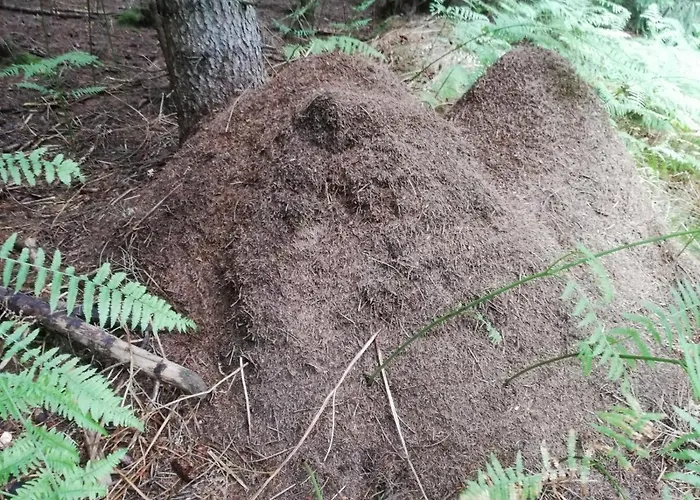 Apartment Da Tizzi *