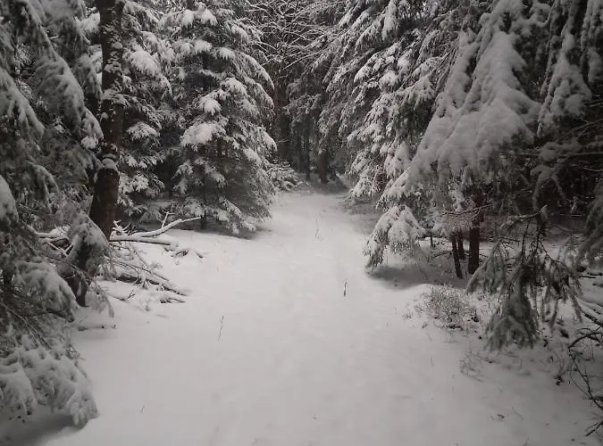 Apartment Da Tizzi *